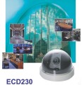   EverFocus ECD-230